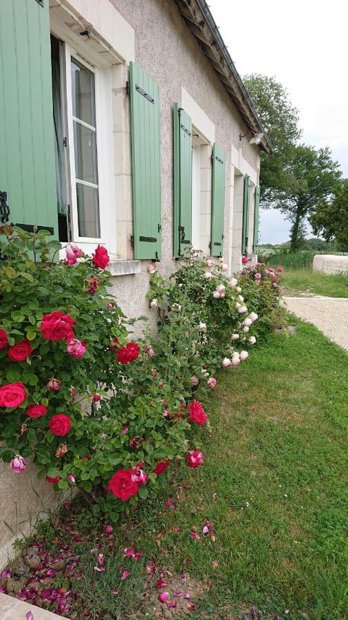Longere Du Sud Touraine Au Coeur Du Val De Loire Villa Saint-Jean-Saint-Germain Exteriör bild